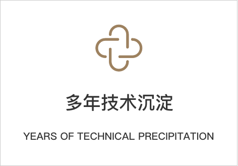10年+技术沉淀